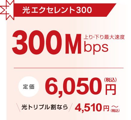 光エクセレント300
