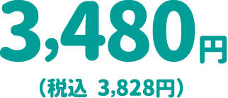 3,480円（税込 3,828円）