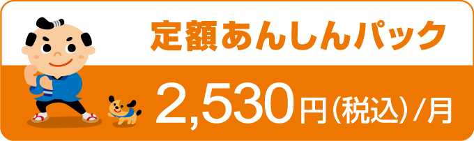 定額あんしんパック