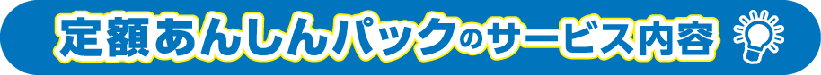 定額あんしんパックのサービス内容
