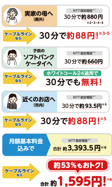 月額料金込みで合計約1,595円！