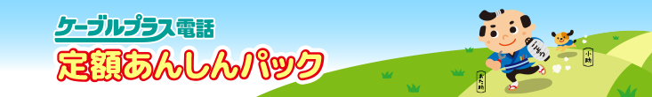 定額あんしんパック