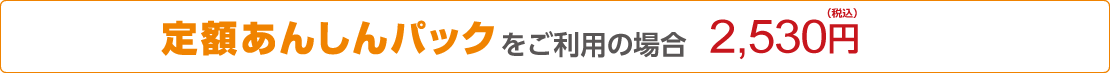 定額あんしんパックをご利用の場合 2,300円