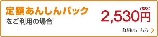 定額あんしんパックをご利用の場合 2,300円